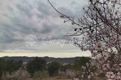 Landejendom i Yecla, Murcia, Yecla - € 119.995 | Ref: SF0443 - foto 33